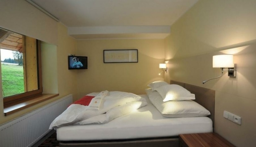 Hotel Premier Janov nad Nisou - Economy room